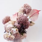pink-petaled-flowers-2831040